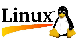 Linux 常用命令